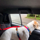 Pet Safety Belt
