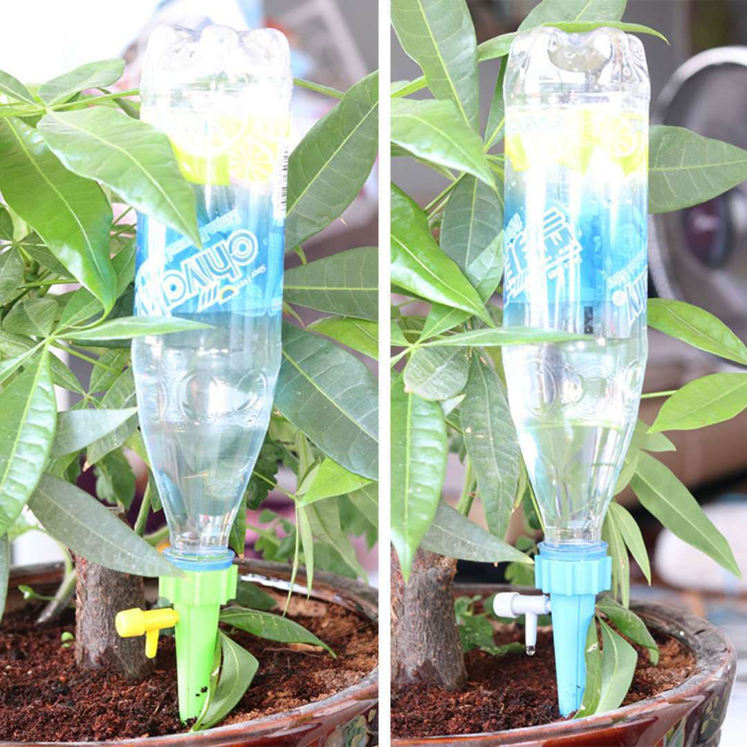 Plant Irrigation System