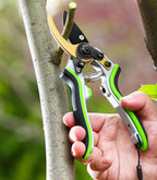Professional Pruning Shears