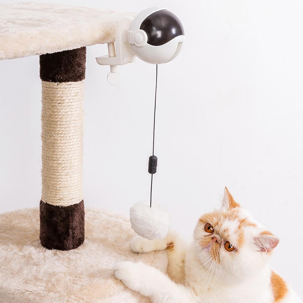 Interactive Toy for Cats and Dogs