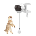 Interactive Toy for Cats and Dogs