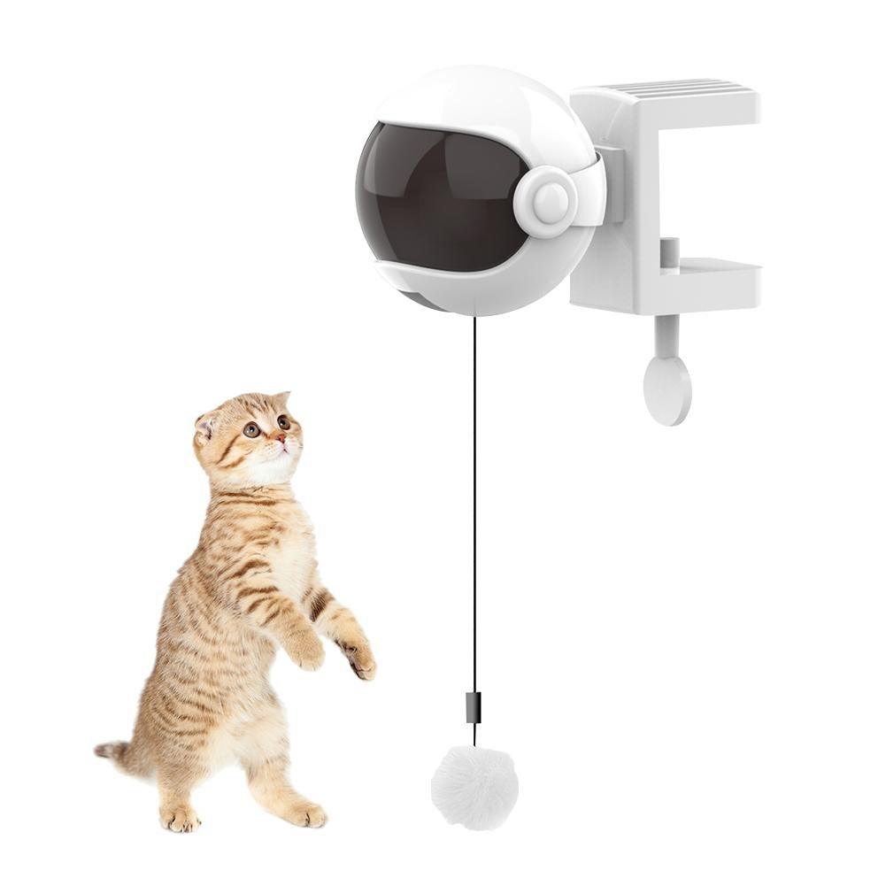 Interactive Toy for Cats and Dogs