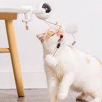 Interactive Toy for Cats and Dogs