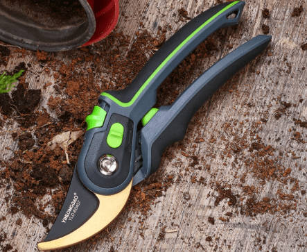 Professional Pruning Shears
