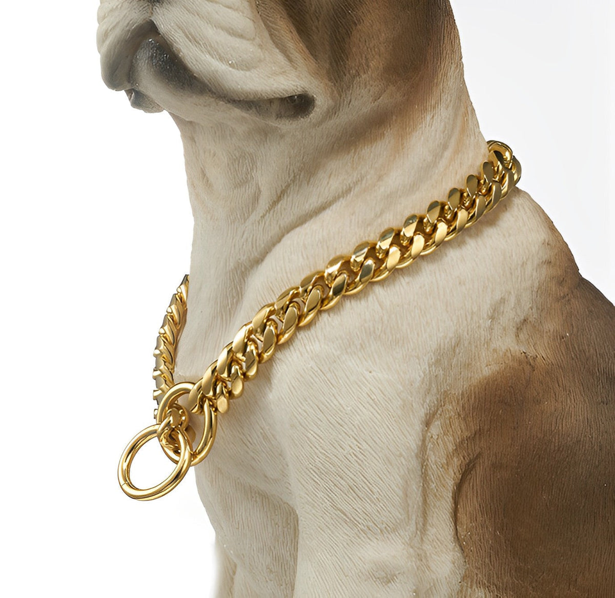 Golden Guardian Dog Collar