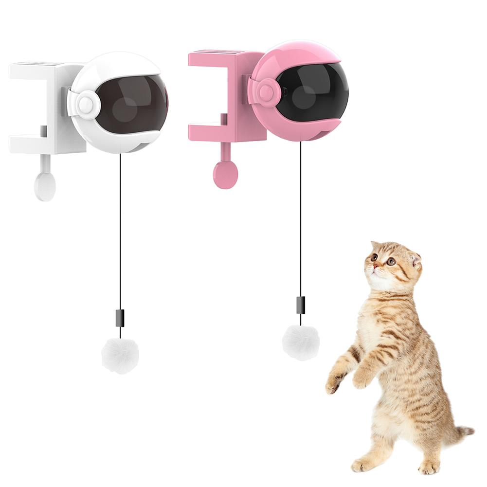 Interactive Toy for Cats and Dogs