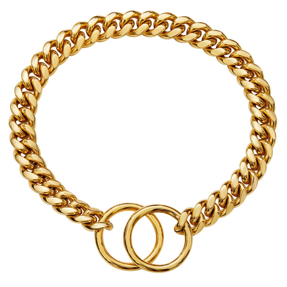 Golden Guardian Dog Collar