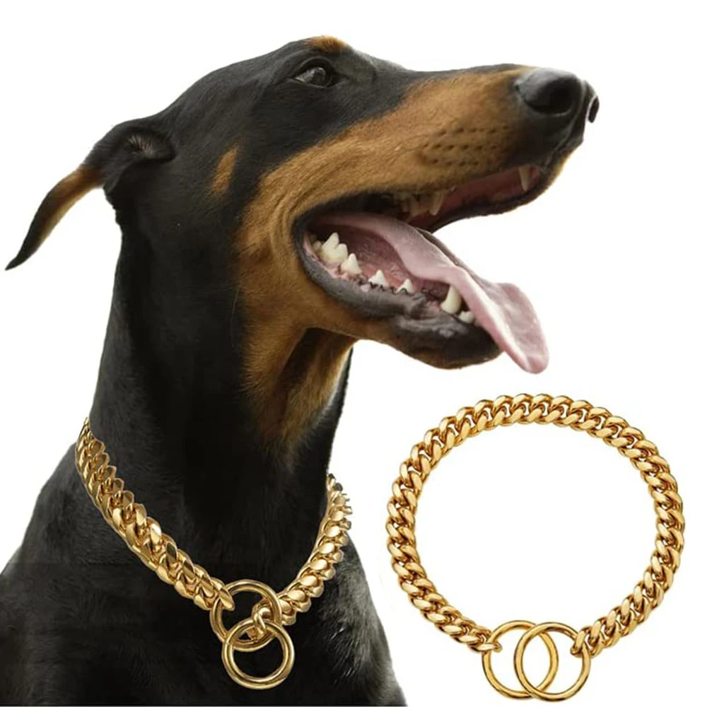 Golden Guardian Dog Collar