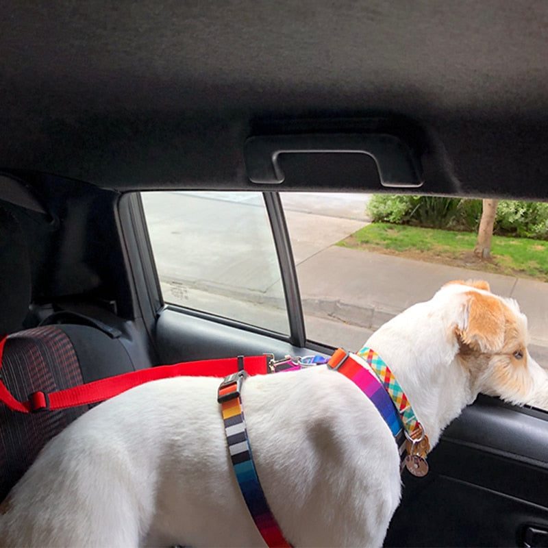 Pet Safety Belt