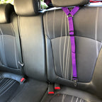 Pet Safety Belt