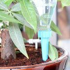Plant Irrigation System