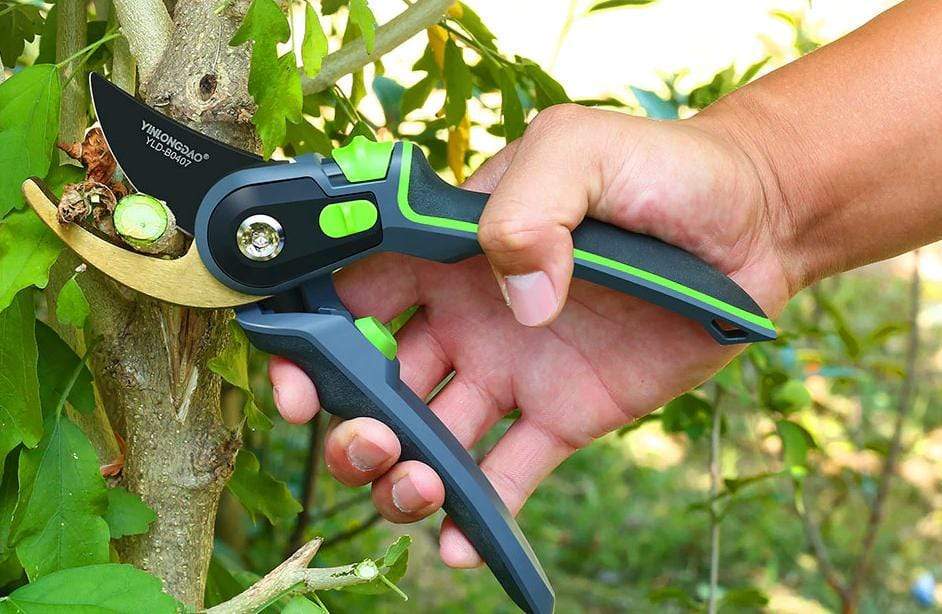 Professional Pruning Shears