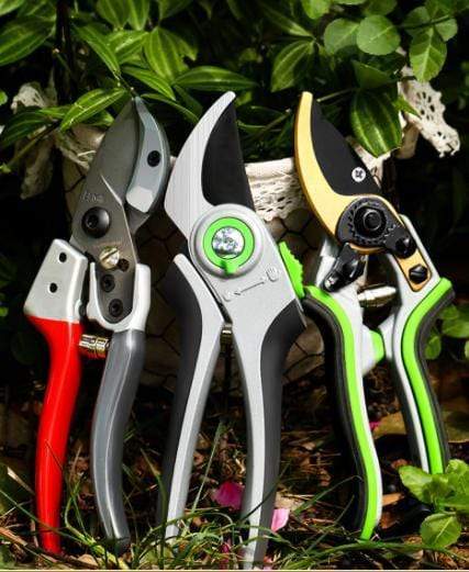 Professional Pruning Shears