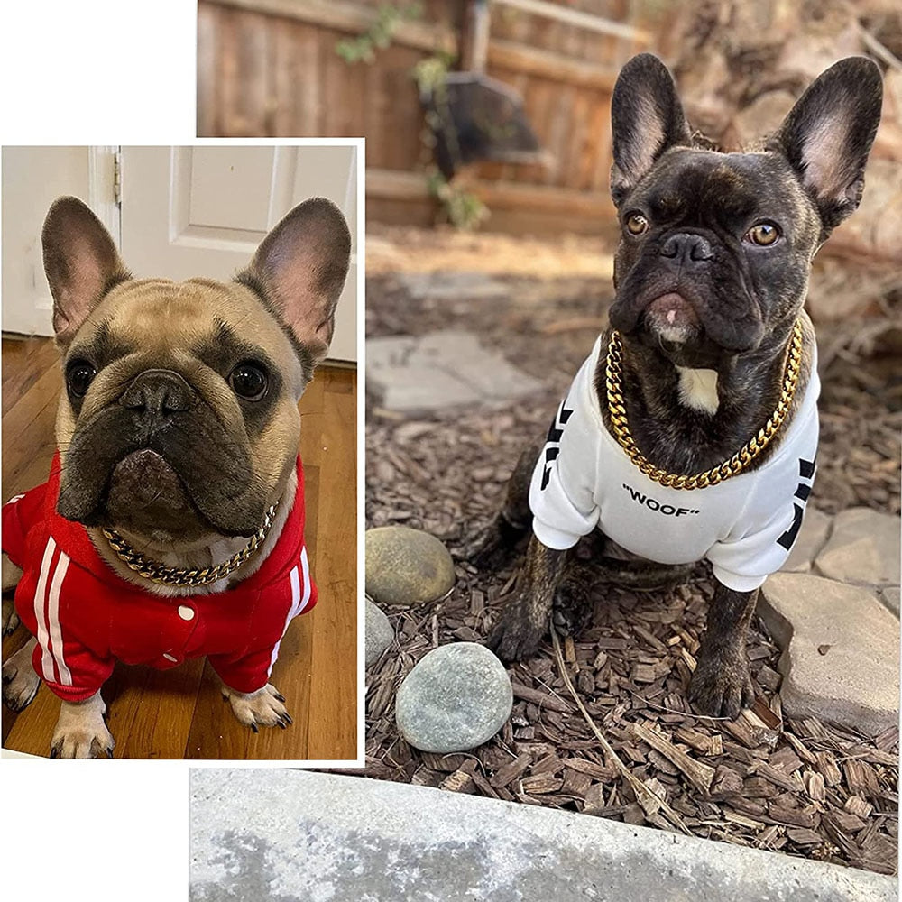 Golden Guardian Dog Collar