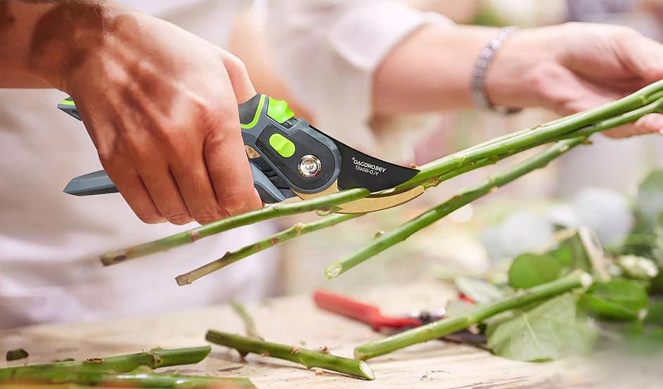 Professional Pruning Shears