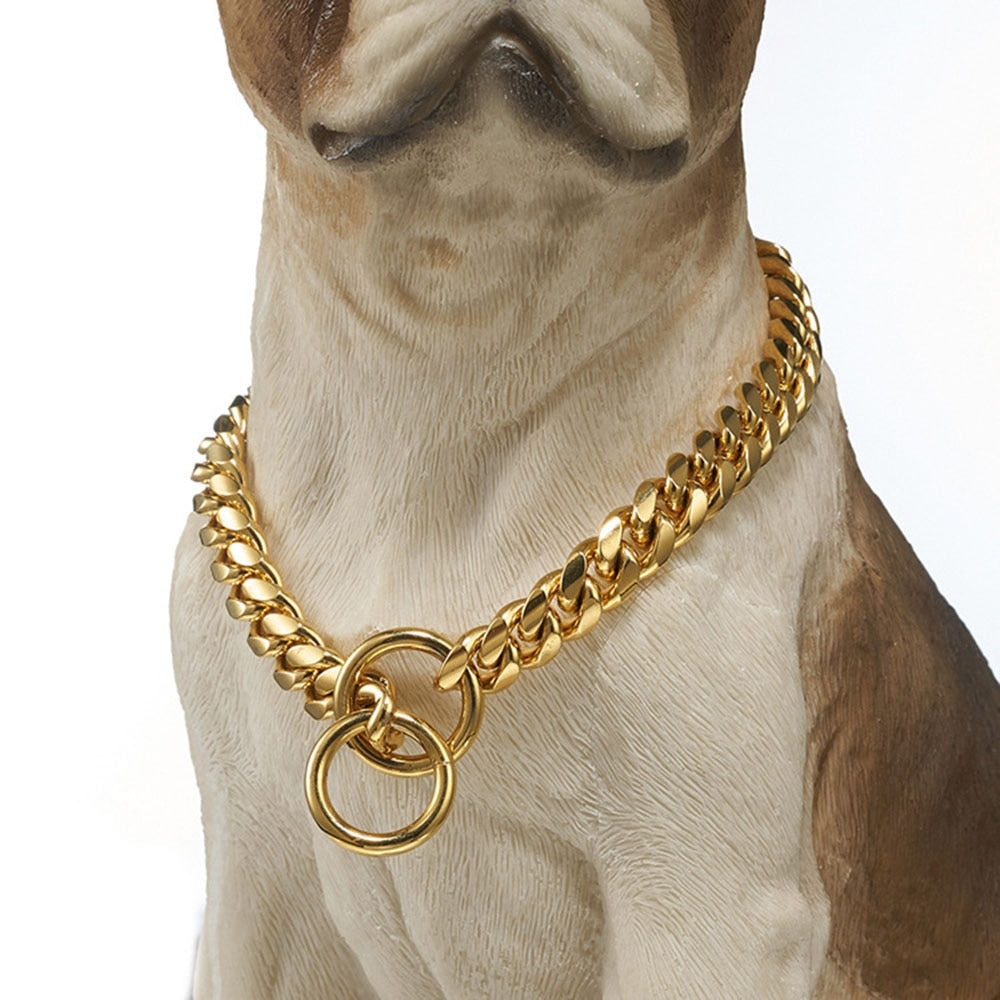 Golden Guardian Dog Collar