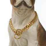 Golden Guardian Dog Collar